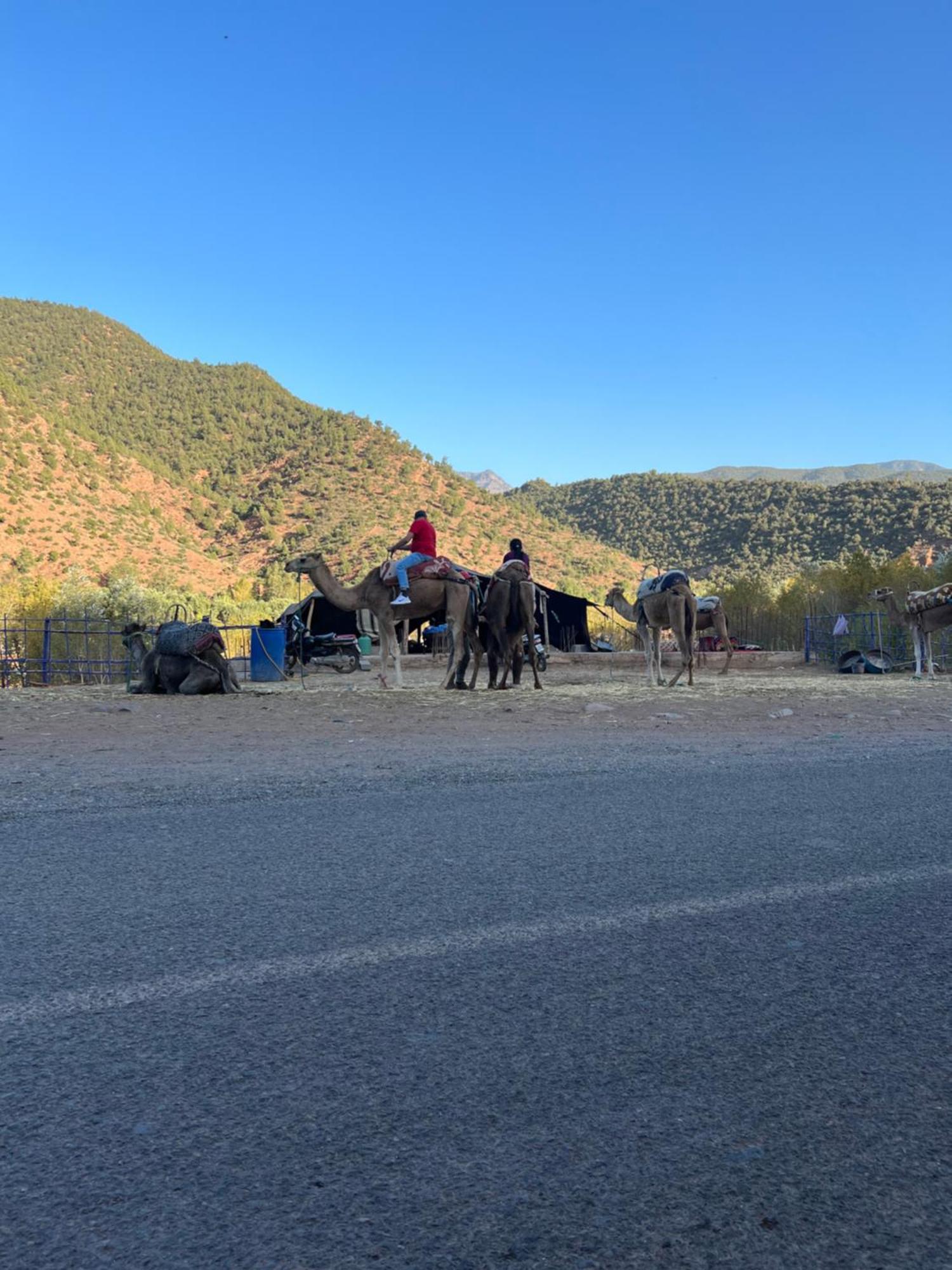 Tazart Lodge Marrakesh Luaran gambar