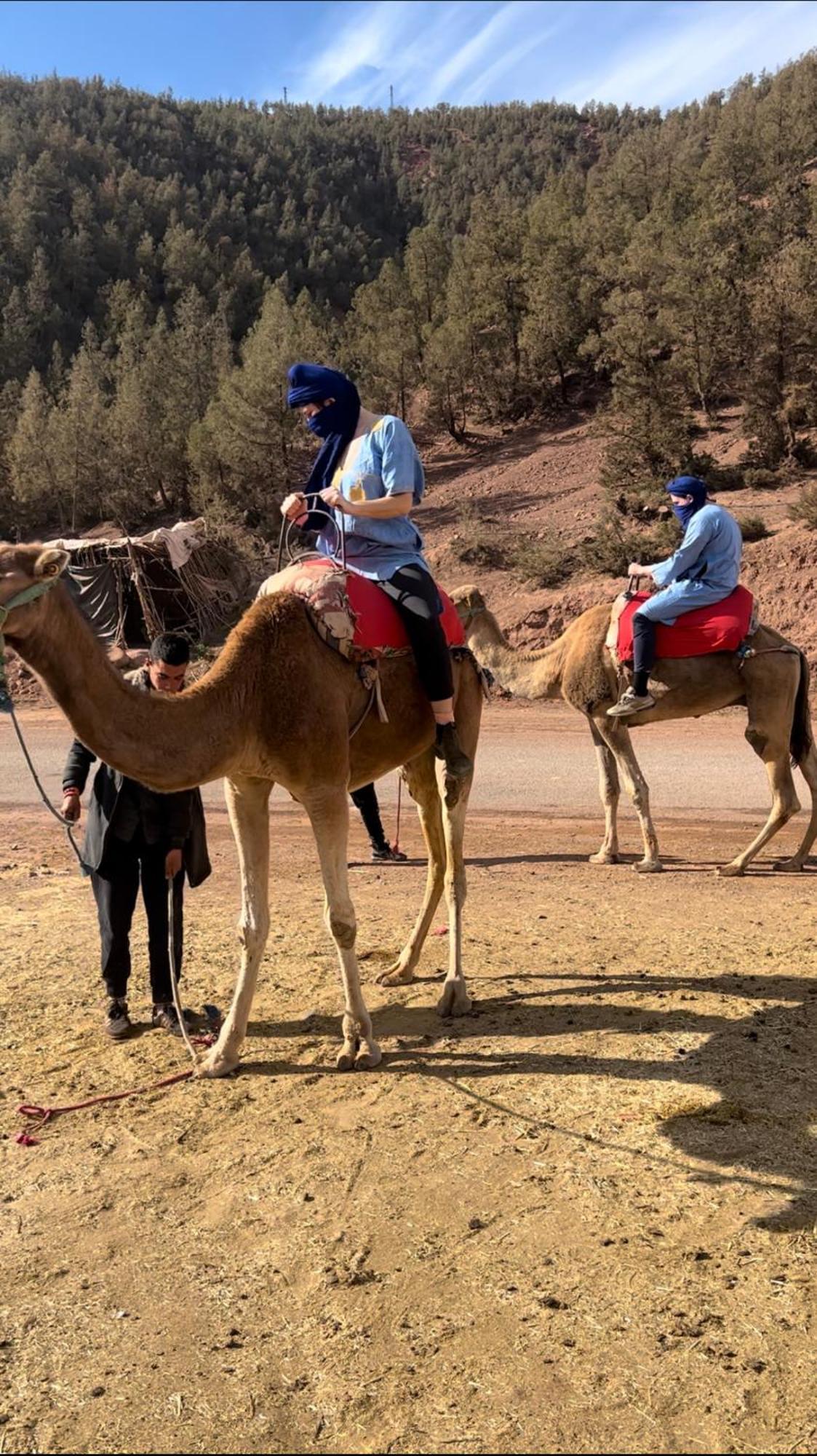 Tazart Lodge Marrakesh Luaran gambar